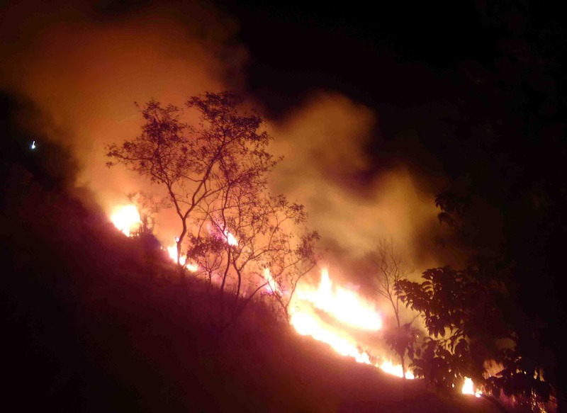 Bernardo Guedes sugere e Prefeitura realizará campanha de prevenção aos incêndios em vegetação